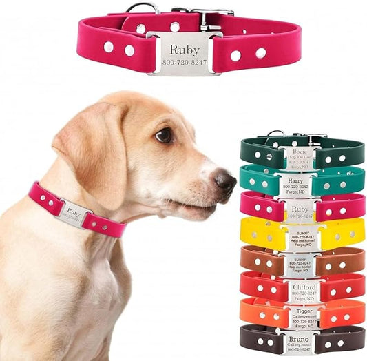 dogIDs Personalized Dog Collar – ScruffTag Custom Waterproof Biothane Dog Collar with Laser-Engraved Name, Durable & Odor-Resistant – USA Made | Magenta, 1 in x 20 in (Fits Neck Sizes 18-22 in)