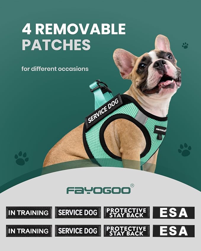 FAYOGOO Dog Harness for Small Dogs - Lightweight Service Dog in Training Harness with 6PCS Removable Patches - Puppy Harness for Walking Training