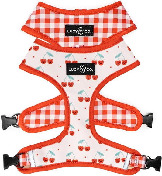Lucy & Co. Cheery Cherries, Cute Reversible Dog Harness Walking Halter - Best Designer Pet Harnesses for XS - XL Dogs - Padded Adjustable Vest for Easy Walking (Medium)