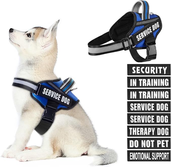 Dog Vest Harness and Patches Set, Animire in Training Service Dog Harness with 10 Dog Patches, Reflective Dog Vest with Handle for Small, Medium, Large, and Extra-Large Dogs