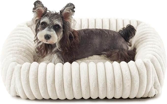 FURTIME Dog Bed for Small Dogs, Washable Orthopedic Dog Bed with Removable Cover, Rectangle Soft Calming Sleeping Puppy Bed Durable Pet Cuddler with Anti-Slip Bottom, Cream, S (20"x19"x6")