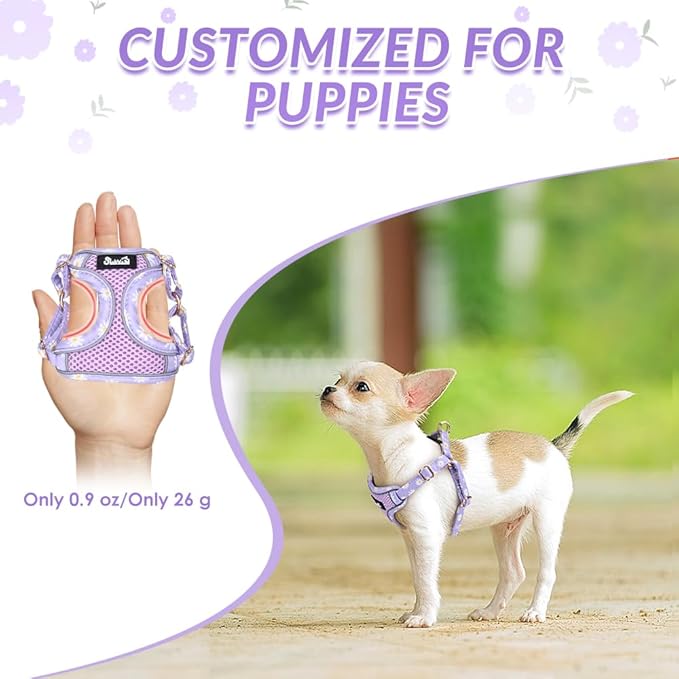 Lukovee No Pull Puppy Harness and Leash Set - Soft Lightweight Escape Proof Puppy Vest Harness, Breathable Adjustable Pet Harness with Dog Leash for Small Dogs (Purple, XXS)