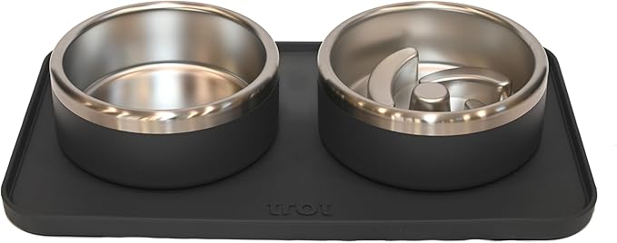 Trot Pets Premium Dog Bowls | Stainless Steel Bowl Set for Small, Medium, or Large Dogs | Non-Slip Food and & Water Slow Feeder | Durable, BPA-Free, Anti-Skid, Dishwasher Safe (Charcoal, Small)