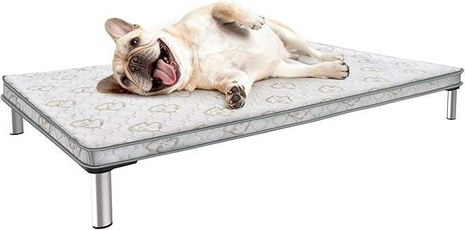 FXW TitanNest Chew-Proof Elevated Dog Bed, Raised Cot for Indoor/Outdoor/Camping Use, Durable & Waterproof Cooling Pet Bed with Exclusive Cover for Small Dogs, 35.0" L x 22.0" W x 4.5" H, Black