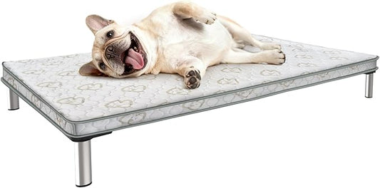 FXW TitanNest Chew-Proof Elevated Dog Bed, Raised Cot for Indoor/Outdoor/Camping Use, Durable & Waterproof Cooling Pet Bed with Exclusive Cover for Small Dogs, 35.0" L x 22.0" W x 4.5" H, Black