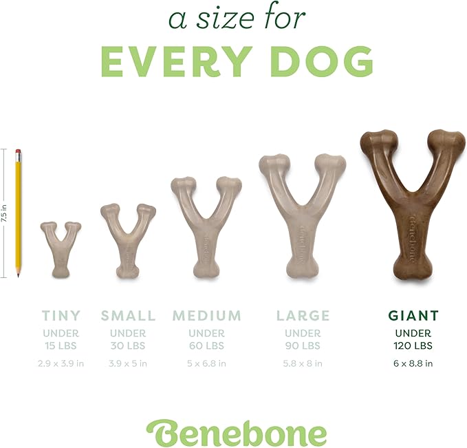 Benebone Wishbone Durable Dog Chew Toy for Aggressive Chewers, Real Chicken, Made in USA, Giant