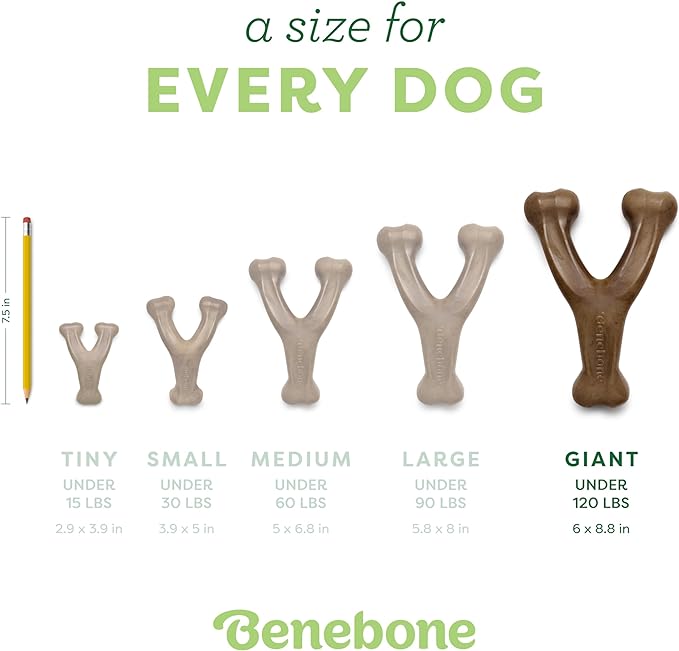 Benebone Wishbone Durable Dog Chew Toy for Aggressive Chewers, Made in USA, Giant, Real Bacon Flavor