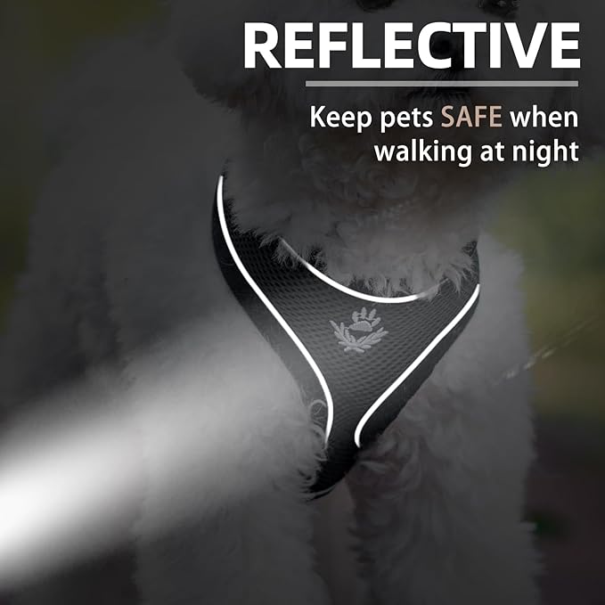 PUPTECK Soft Mesh Dog Harness and Leash Set Pet Puppy Cat Comfort Padded Vest No Pull Harnesses