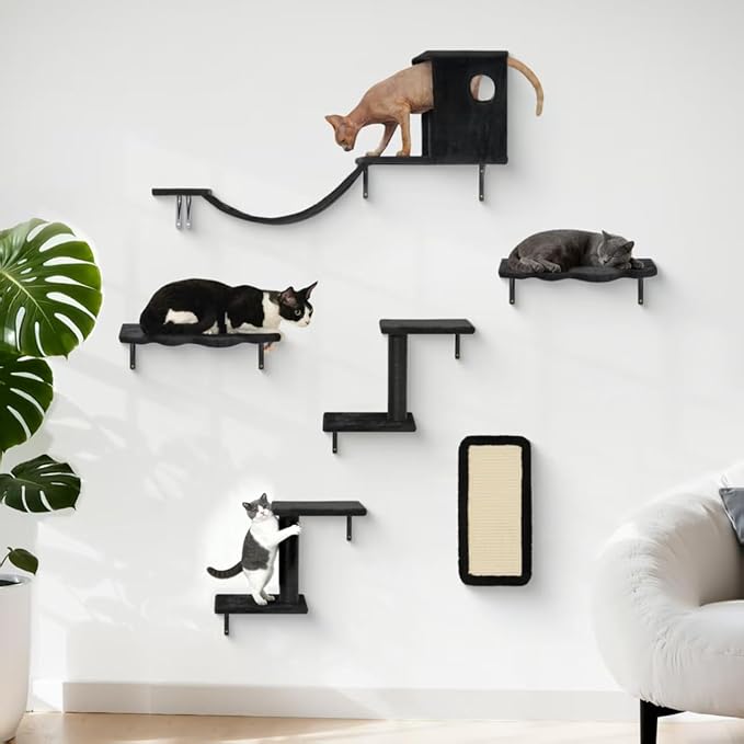 6-in-1 Cat Wall Shelves, Wall-Mounted Cat Furniture for Indoor Kittens, Modern Floating Shelves with Scratching Posts, Bed, Perch, Bridge, Condo, Steps and Scratcher, Space-Saving Gym, Black