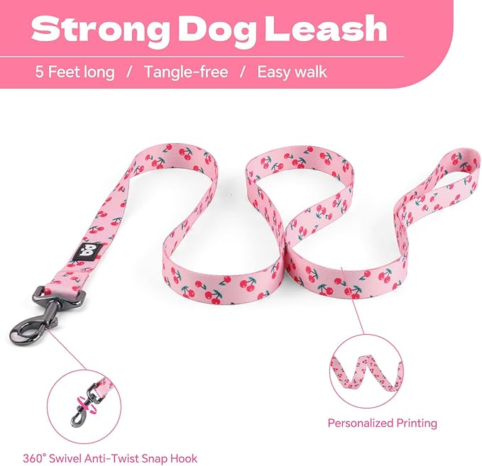 QQPETS Dog Harness Leash Set Adjustable Heavy Duty No Pull Halter Harnesses for Small Medium Large Breed Dogs Back Clip Anti-Twist Perfect for Walking (XS(12"-18" Chest Girth), Sakura Pink)