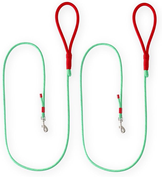 2 Pack Rope Dog Leash, 4.5 ft Lightweight Premium Rope Leash with Comfortable Padded Handle, Reflective Dog Leashes for Small and Medium Dogs, Kid-Friendly Family Set