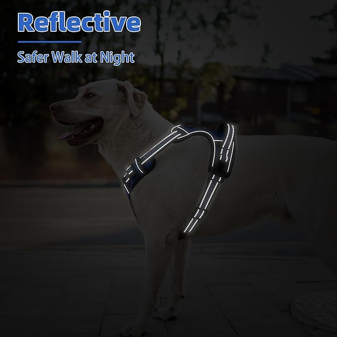 PUPTECK No Pull Dog Harness Small Sized, Adjustable Reflective Dog Harness with Handle Easy Control, Comfortable Soft Padded Pet Vest Harness for Small Dogs, Blue S