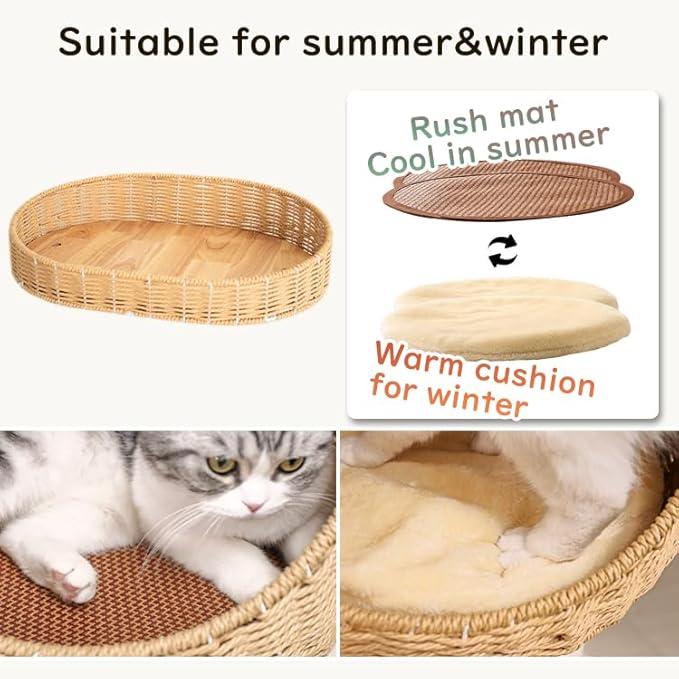 48'' Natural Wood Cat Tree with Rattan Beds & Clear Acrylic Bowl, Multi-Level Cat Tower for Indoor Cats, Modern Wooden Cat Condo with Scratch Posts (Dark Brown)