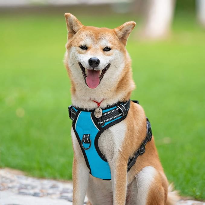 PoyPet No Pull Dog Harness, Reflective Comfortable Vest Harness with Front & Back 2 Leash Attachments and Easy Control Handle Adjustable Soft Padded Pet Vest for Small to Large Dogs (Blue,L)