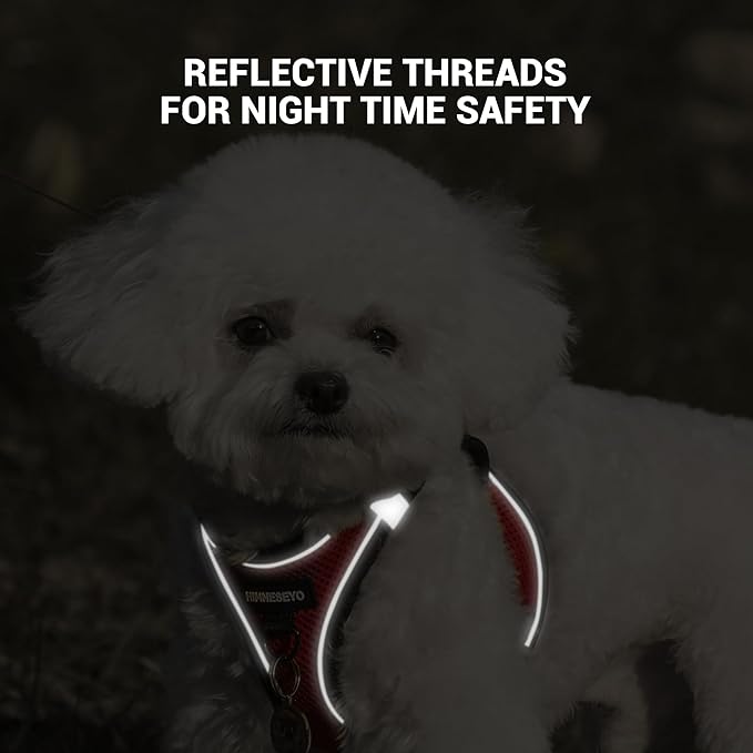 Dog Harness and Leash Set, Dog Harness for Dogs No Pull, No-Chock Step-in Reflective Breathable Lightweight Easy Walk Vest Harnesses with Safety Buckle for Small Medium Dogs, Cats (Red, XXS)