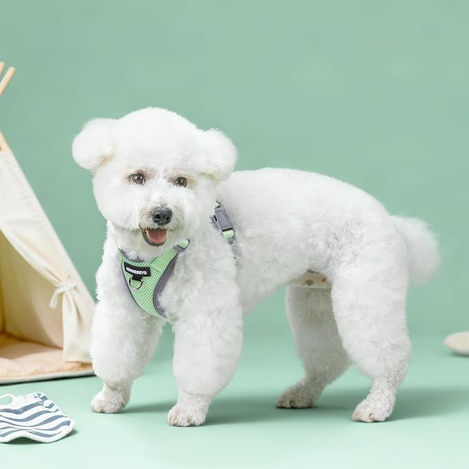 Small Dog Harness and Leash Set, No Pull Adjustable Pet Harness for Small Dogs, Breathable Mesh Rflective Dog Vest Harness (Green, S)