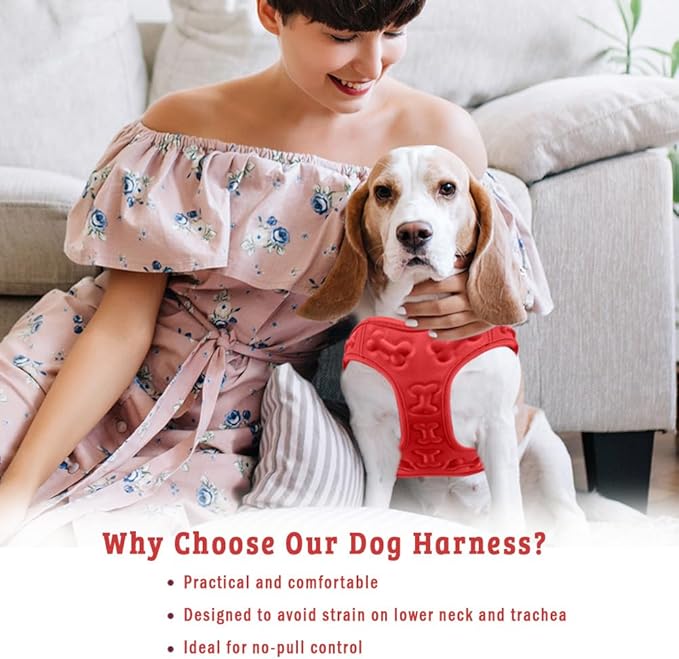 Comfort fit All Weather Step-in Dog Harness - Adjustable Small Dog Harness Medium Sized Dogs - Soft Padded Easy Walk Dog Vest Harnesses