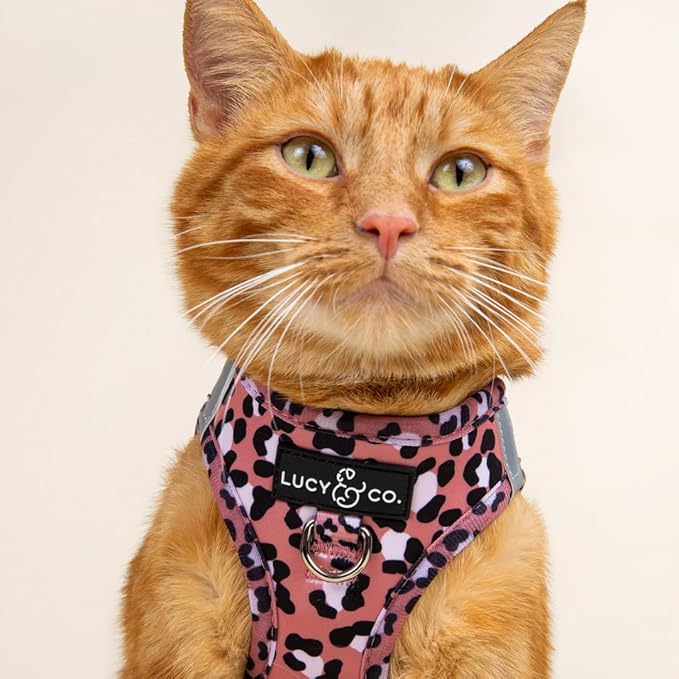 Lucy & Co. Wild Side Step-in Cat Harness & Leash Bundle – Reflective, Breathable & Adjustable Harness for Cats, Kittens & Small Dogs, Lightweight & Secure and Dual Leash Clips – X-Small