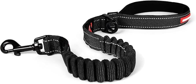 EzyDog Zero Shock Dog Leash - Shock Absorbing Bungee Leash for Dogs That Pull or Excite - Dual Handle and Reflective for Large, Medium, or Small Dogs (25-inch, Black)
