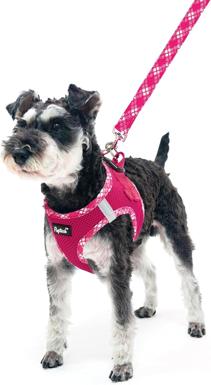 PUPTECK Dog Harness and Leash Set for Small Medium Dogs No Pull Step-in Soft Mesh Puppy Cat Vest Harnesses Reflective at Night, Fuchsia, S