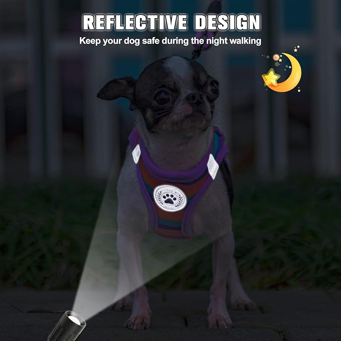 BEAUTYZOO Dog Harness and Leash Set for Small Dogs,No Pull Step-in Harness for Puppy XS S Sized Dogs and Cats,Air Mesh Adjustable Breathable Soft No Choke Escape Proof Vest Harness,Striped Purple XXS