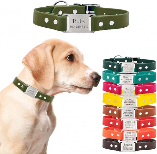 dogIDs Personalized Dog Collar – ScruffTag Custom Waterproof Biothane Dog Collar with Laser-Engraved Name, Durable & Odor-Resistant – USA Made | Sage, 5/8 in x 10 in (Fits Neck Sizes 9-11 in)