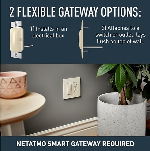 Legrand Radiant WNRR15LA 15 Amp Smart Outlet with Netatmo, Compatible with Alexa, Google Assistant & Apple HomeKit, 15A, Light Almond (1 Count)