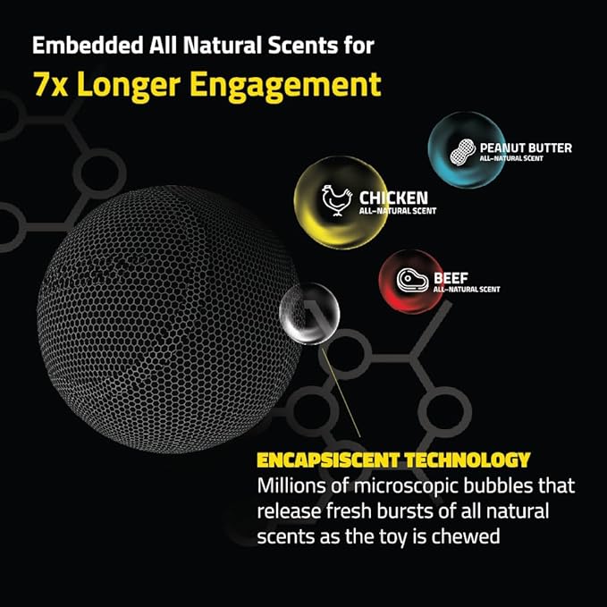 Playology Dog Toys | Squeaky Chew Ball - Bouncy Durable Floating Fetch Ball for Dogs, Value 2-Pack | Medium Beef Scented Toy - Easy to Clean and Made from Non Toxic Materials