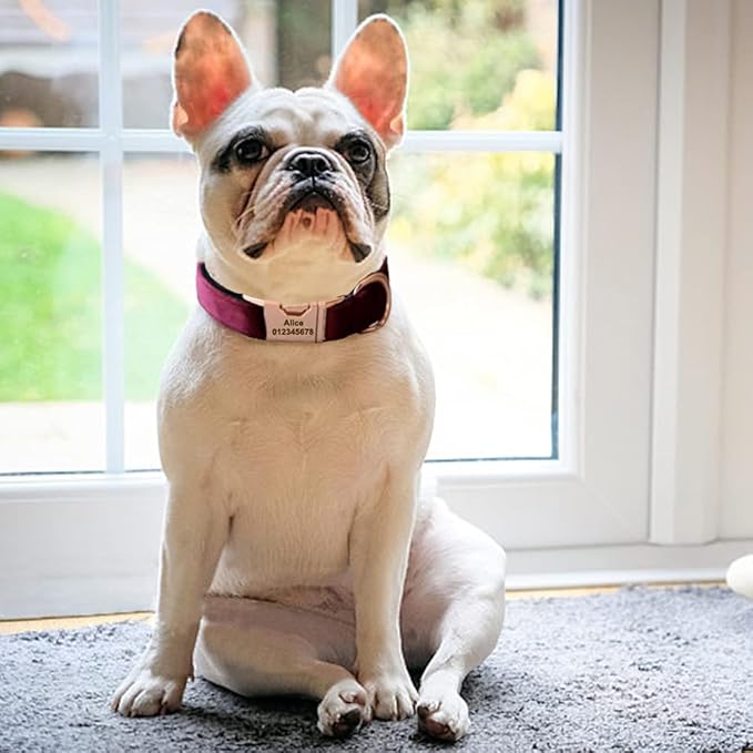 Dog Collar Custom Personalized Engraved Name and Phone Number for Puppy Small Medium Large Pets (M, Red Wine)