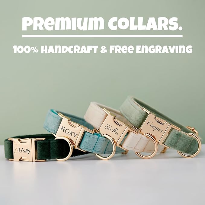 Personalized Velvet Dog Collar with Name & Phone, Multi-Color Options, Metal Quick-Release Buckle, Soft & Stylish (Style-C)