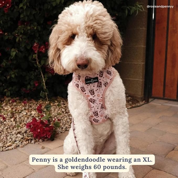 Cute Reversible Dog Harness - Best Designer Pet Harnesses for Medium Dogs - Padded Adjustable Vest for Easy Walking. (Little Lamb, L)