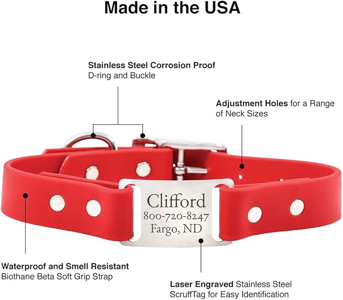 dogIDs Personalized Dog Collar – ScruffTag Custom Waterproof Biothane Dog Collar with Laser-Engraved Name, Durable & Odor-Resistant – USA Made | Coral, 5/8 in x 12 in (Fits Neck Sizes 11-13 in)