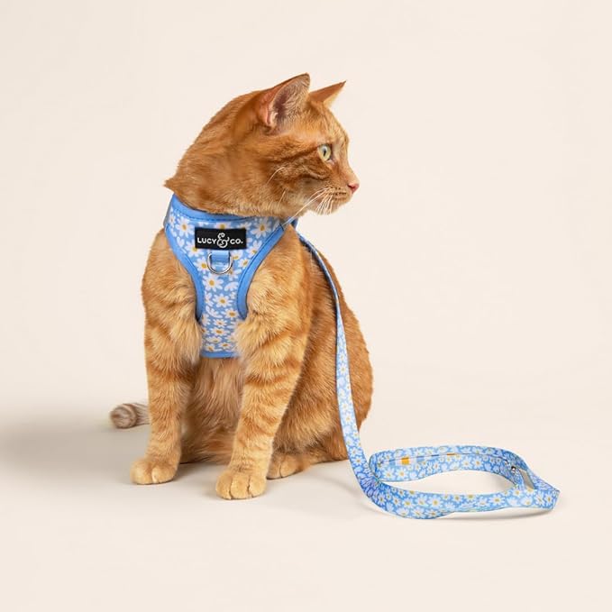 Lucy & Co. Simply Splendid Step-in Cat Harness & Leash Bundle – Reflective, Breathable & Adjustable Harness for Cats, Kittens & Small Dogs, Lightweight & Secure and Dual Leash Clips – Medium
