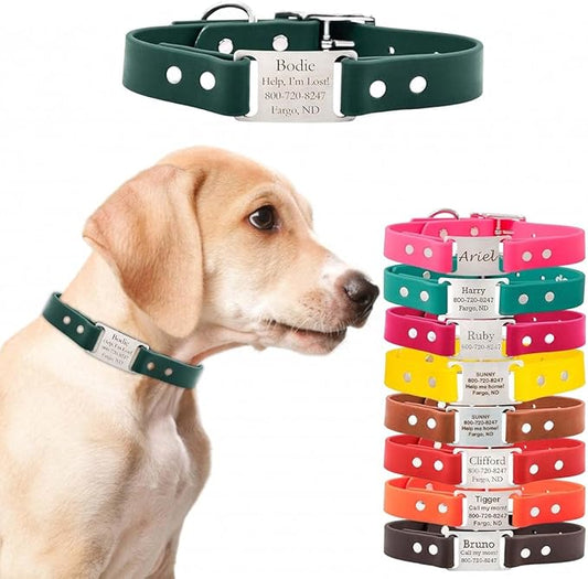 dogIDs Personalized Dog Collar – ScruffTag Custom Waterproof Biothane Dog Collar with Laser-Engraved Name, Durable & Odor-Resistant – USA Made | Hunter Green, 3/4 in x 14 in (Fits Neck Sizes 12-16 in)