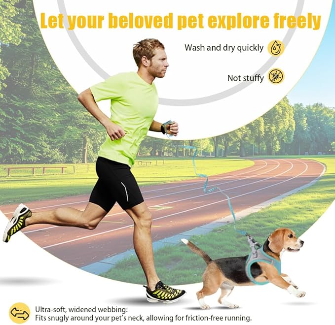 Dog Harness Small Sized and Leash Set, Dog Harness with Leash Set, Comfortable Air Mesh Dog Vest Harness with Reflective Strip, Reflective for Safe Easy Walking Dogs, Cats, Blue S