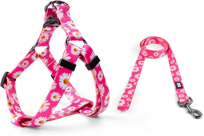 QQPETS Dog Harness Leash Set Adjustable Heavy Duty No Pull Halter Harnesses for Small Medium Large Breed Dogs Back Clip Anti-Twist Perfect for Walking (L(23"-32" Chest Girth), Daisy)