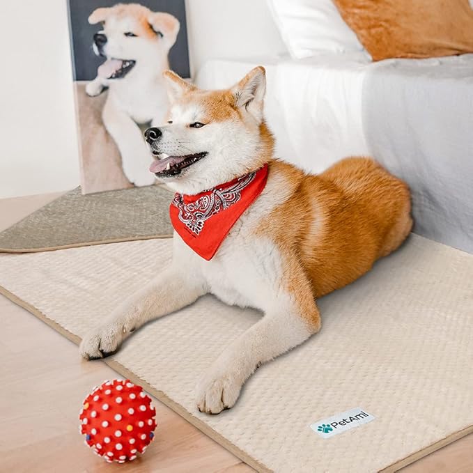 PetAmi Waterproof Dog Blanket, Leakproof Puppy Blanket for Medium Large Dog, Furniture Sofa Couch Cover Protector, Fleece Pet Throw Indoor Cat Kitten, Reversible Washable Soft Plush, 40x60 Taupe Beige