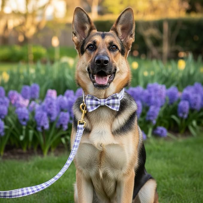 PETDURO Personalized Dog Collar Lavender Plaid for Large Medium Dogs | Engraved Name and Phone Number on Gold Metal Buckle for Girls | Add Leash & Bow Tie via Customize Now