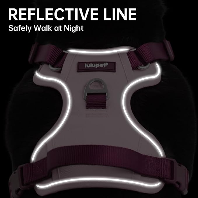 No Pull Dog Harness Leash and Collar Set, Soft Adjustable Dogs Vest Reflective and Comfortable Handle Pink Small