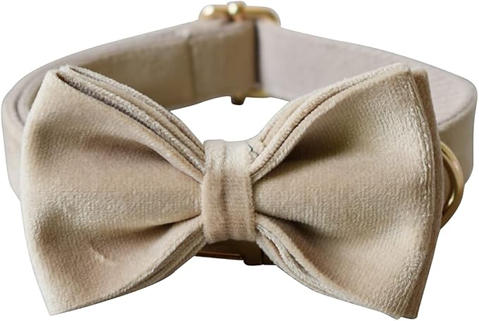 Dog Collar Custom Personalized Engraved Name and Phone Number for Puppy Small Medium Large Pets (S, Nude)