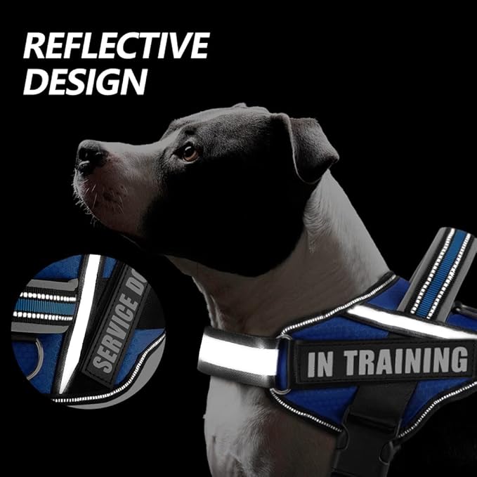 Dog Vest Harness and Patches Set, Animire in Training Service Dog Harness with 10 Dog Patches, Reflective Dog Vest with Handle for Small, Medium, Large, and Extra-Large Dogs