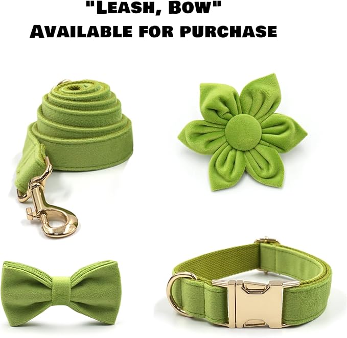 Velvet Personalized Dog Collar with Name - Customizable Dog Collar with Quick Release Metal Buckle - Leash and Bow Tie Available (Yellow-Green, M)