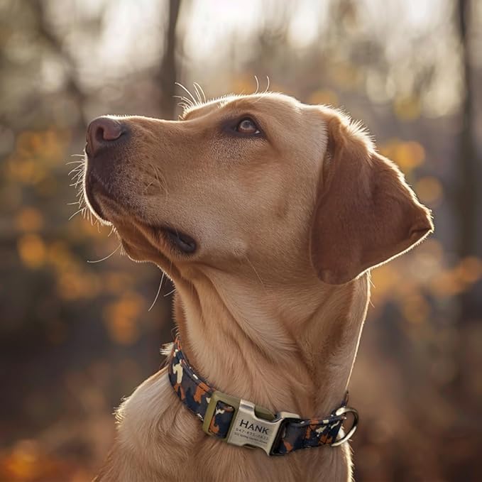 Personalized Dog Collar with Name and Phone Number Engraved,Adjustable Custom Puppy Collar,Organic Cotton Pet Collar for Small Medium Large Boy Girl Dogs