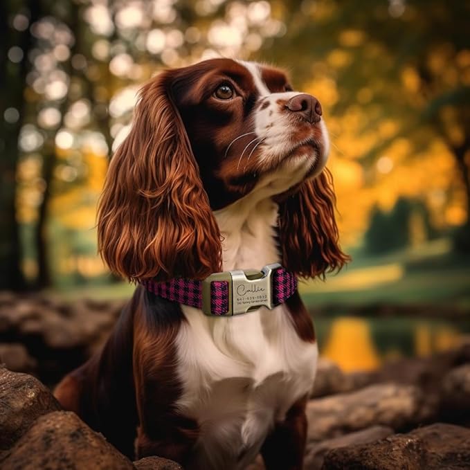 Personalized Dog Collar with Name and Phone Number Engraved,Adjustable Custom Puppy Collar,Organic Cotton Pet Collar for Small Medium Large Boy Girl Dogs