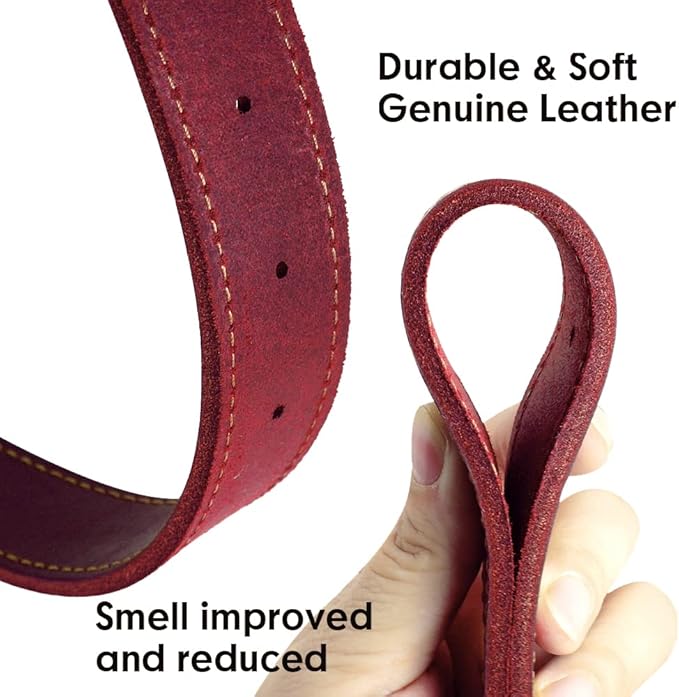 Didog Genuine Leather Dog Collars with Engraved Nameplate, Personalized Soft Leather Dog Collar with Custom ID Tag, Brown/Green/Red for Medium Large Dogs (XXL,Red)