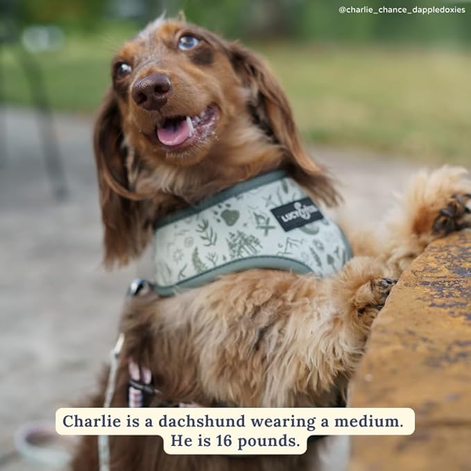 Lucy & Co. Cute Reversible Dog Harness Walking Halter - Best Designer Pet Harnesses for XS - XL Dogs - Padded Adjustable Vest for Easy Walking-X-Small-Green Outdoor Plaid