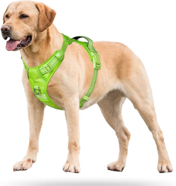 PoyPet No Pull Dog Harness, No Choke Reflective Dog Vest, Adjustable Pet Harnesses with 2 Leash Attachments with Easy Control Padded Handle for Small Medium Large Dogs(Green Matching Trim,S)