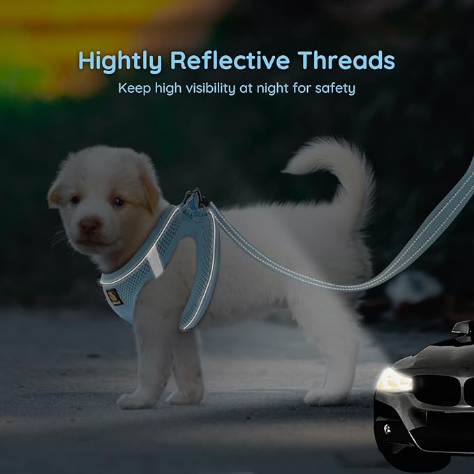 BELLA & PAL Step in Vest Harness for Small and Medium Dogs, No Pull Small Dog Harness with Leash Set, Comfortable Air Mesh Dog Vest Harness with Reflective Strip (Sky Blue, M)