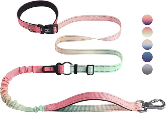 Roses&Poetry Hands Free Dog Leash for Medium Large Dogs Heavy Duty, No Pull Bungee Dog Running Waist Leash for Walking Training with Car Seatbelt 4-6FT