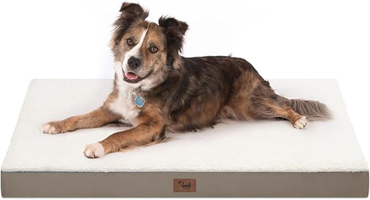 Orthopedic Dog Bed for Large Dogs, Plush Washable Pet Bed for Large Size Dogs with Egg Crate Foam & Removable Oxford Cover, 36x27 Inch, Khaki White